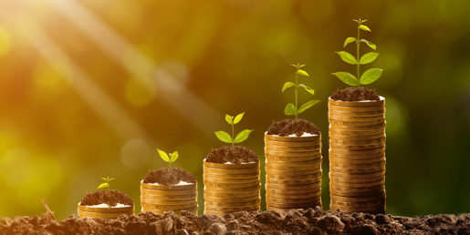 Plants grow in stacks over coins.