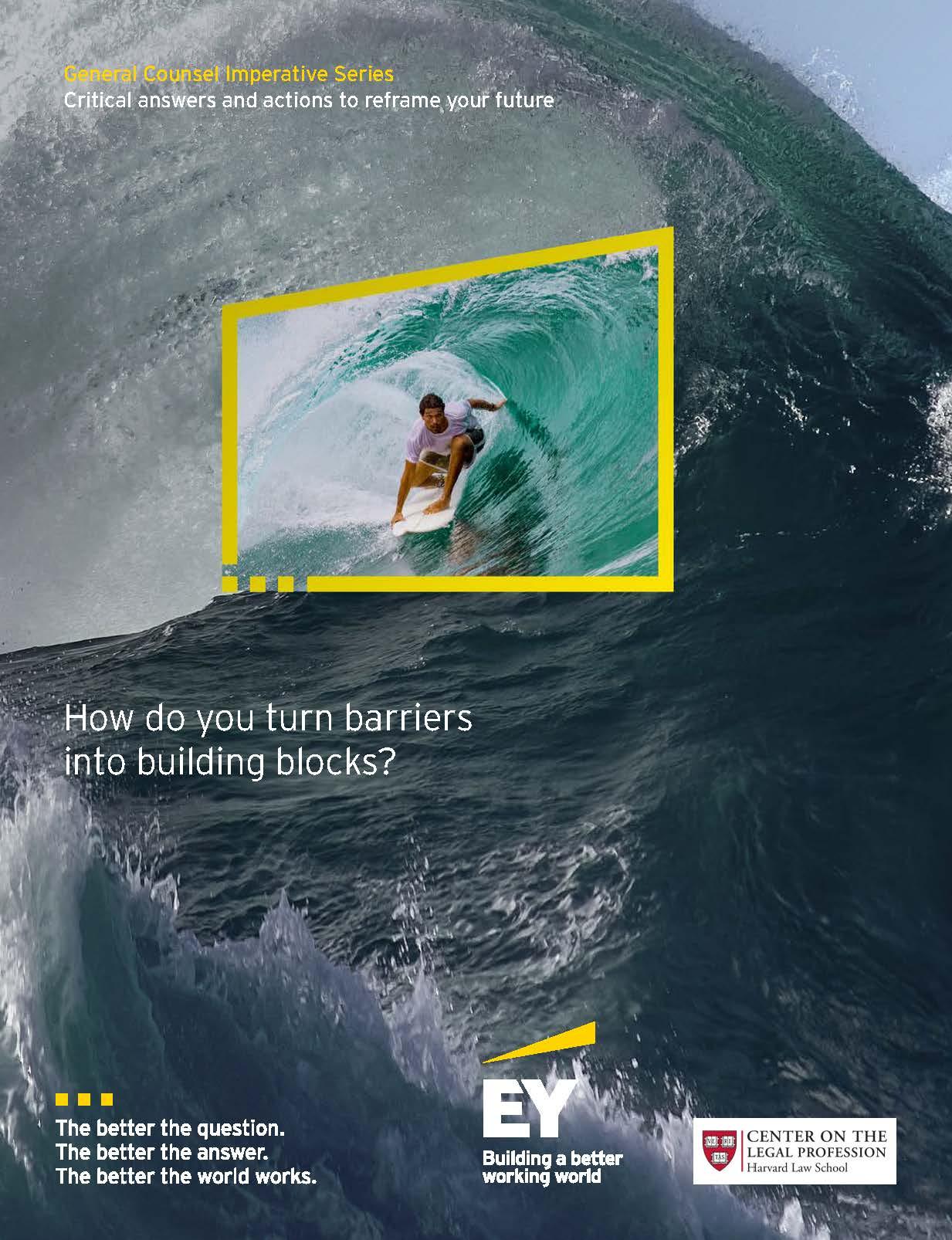 Man surfing on title page of report.