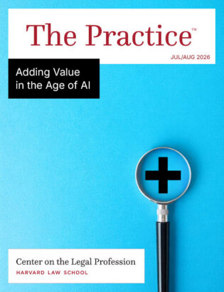Cover of The Practice on Adding Value in the Age of AI
